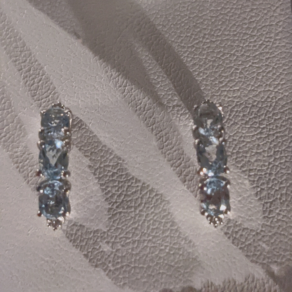 Sterling Silver earrings
